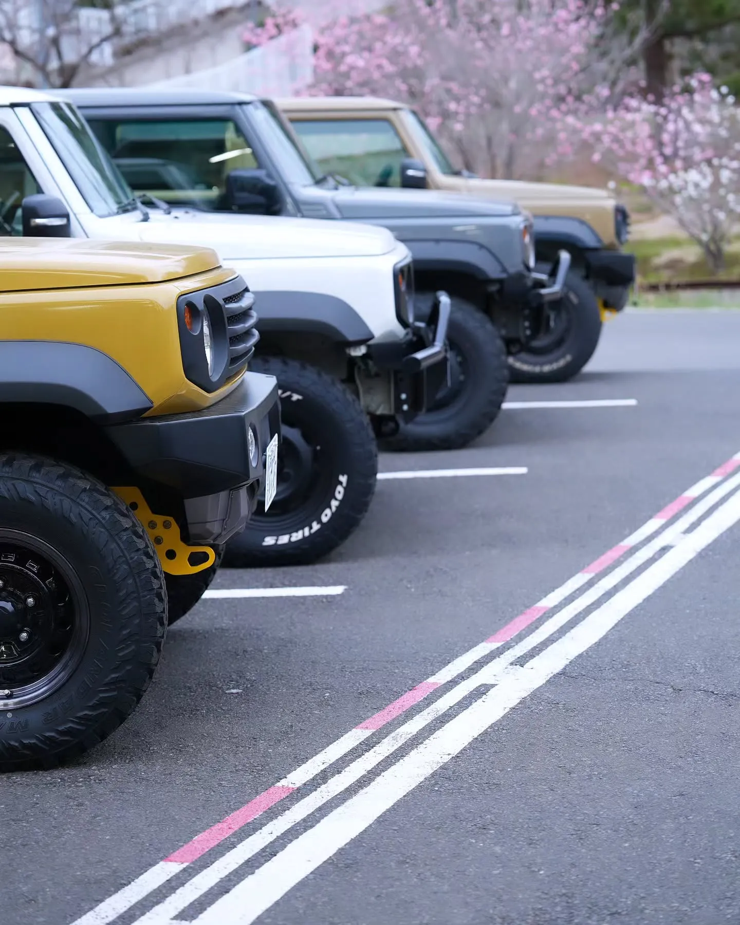 そろそろアピオ前の花桃が見頃を迎えそうです🌸