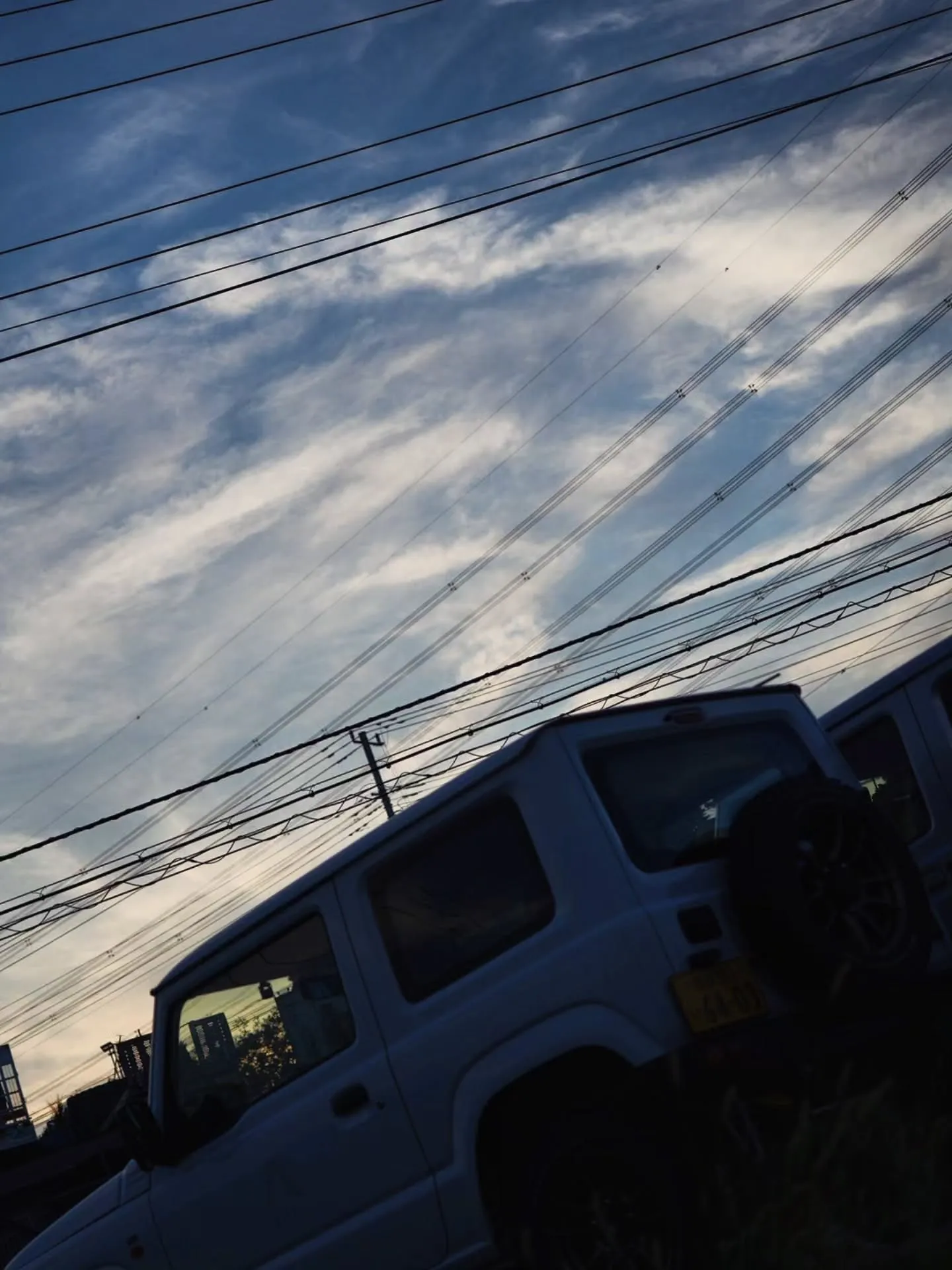電線だらけの夏の夕暮れ…