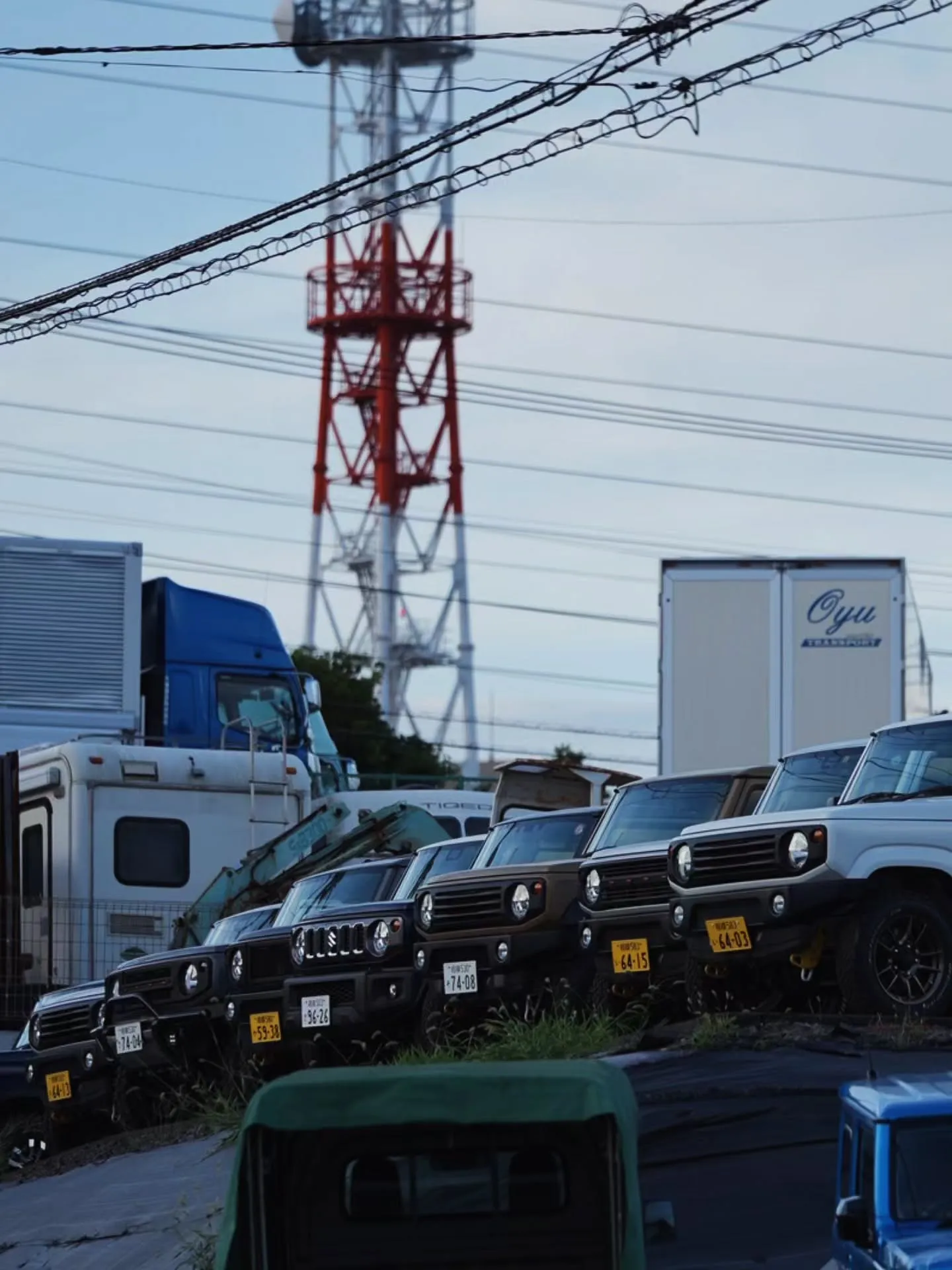 電線だらけの夏の夕暮れ…