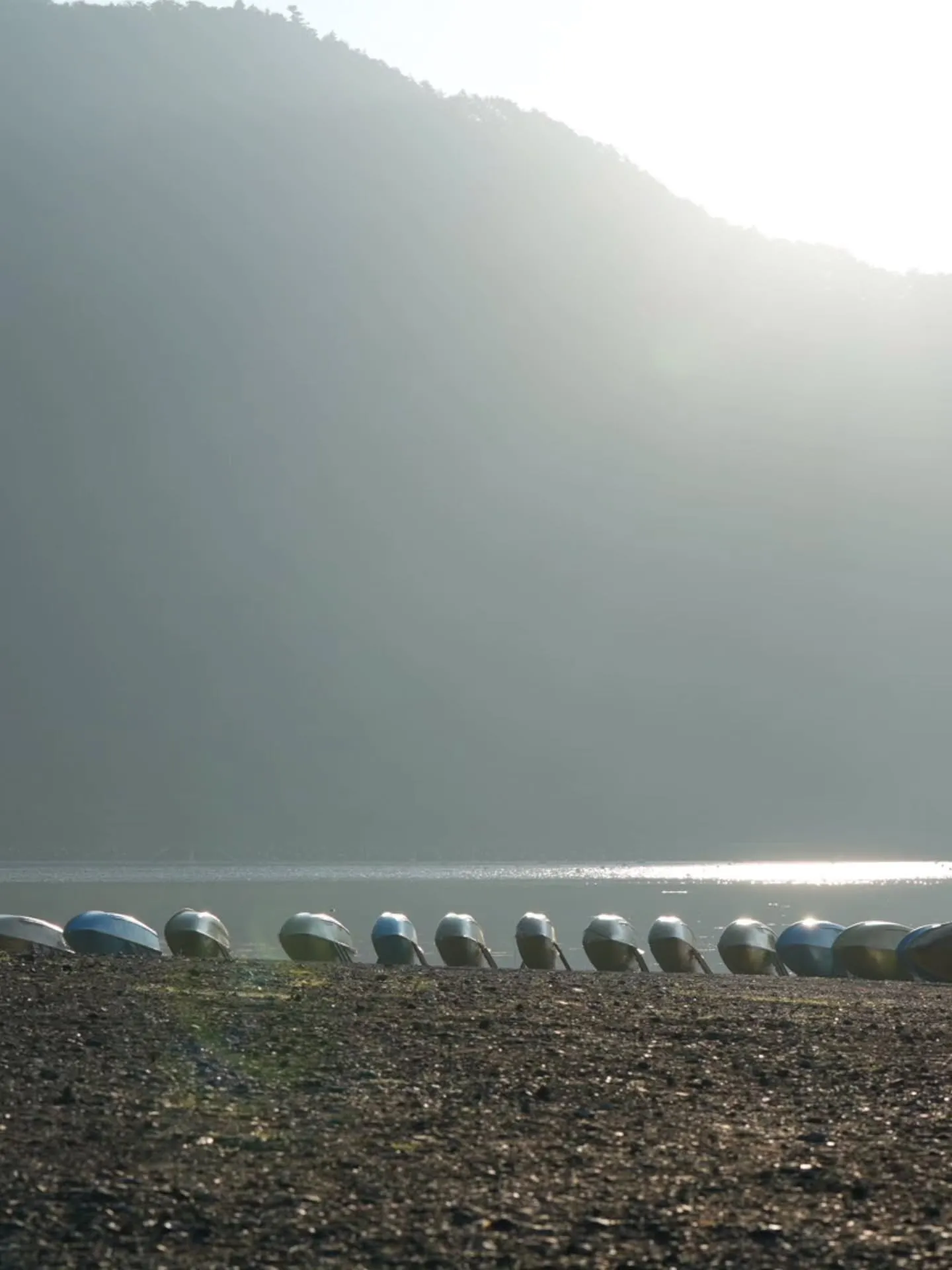 早朝の精進湖with APIOロードスター