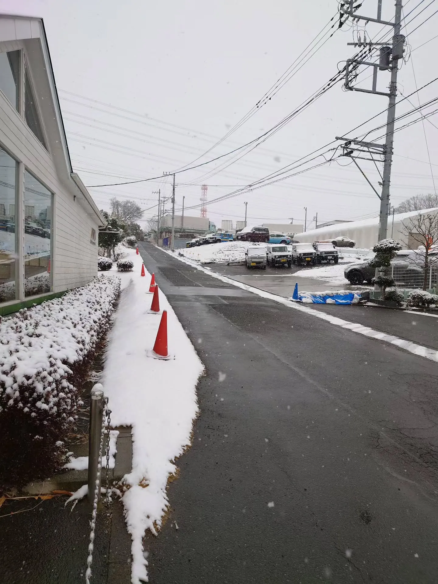 本日、アピオ周辺では今年初積雪です。