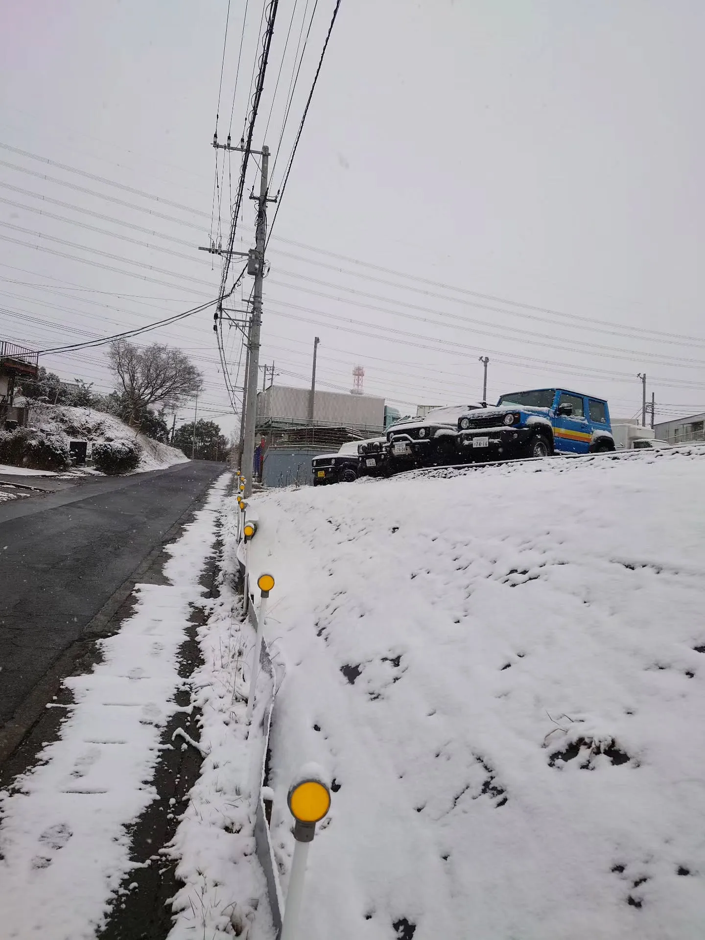 本日、アピオ周辺では今年初積雪です。
