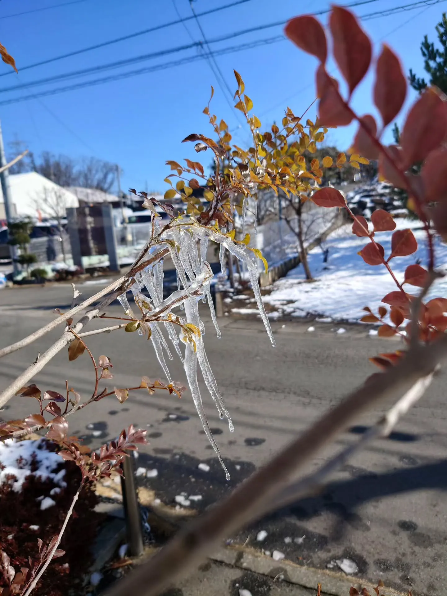 おはようございます☀