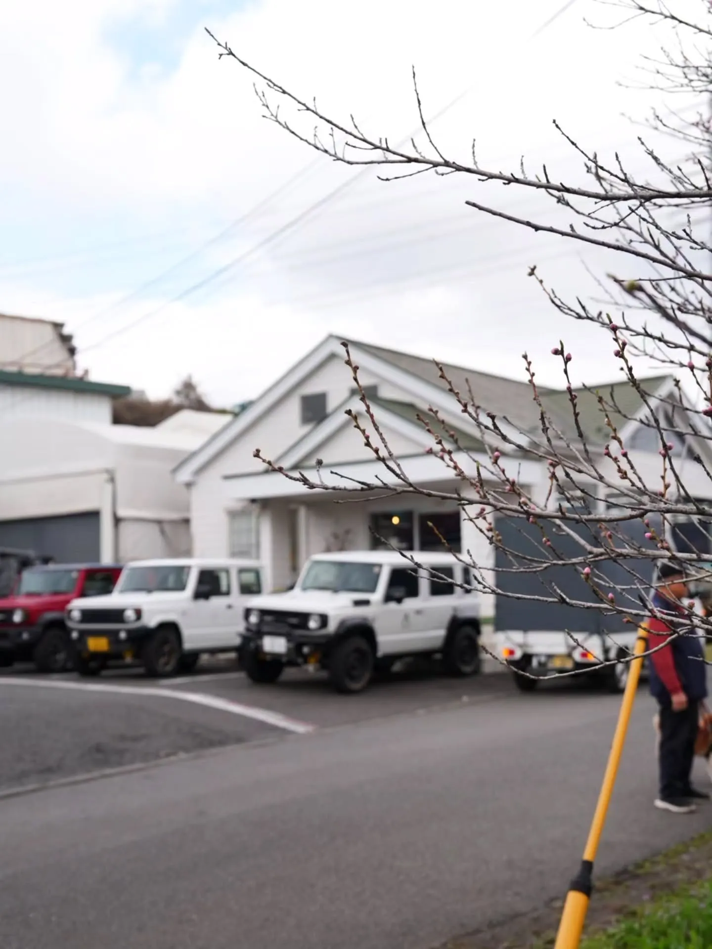 アピオ前開花情報🌸