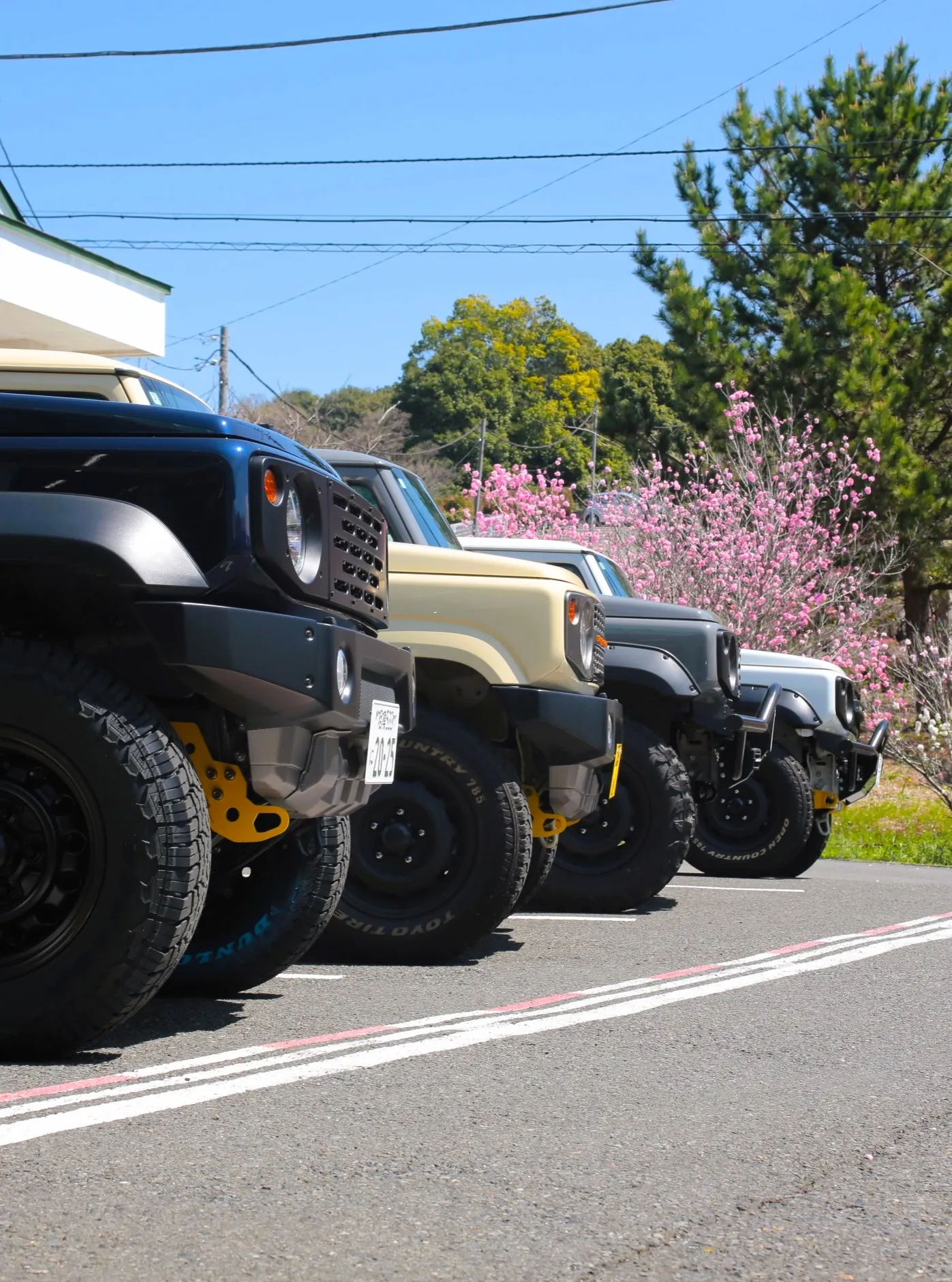 いよいよ、アピオ前の花桃が見ごろを迎えております🌸